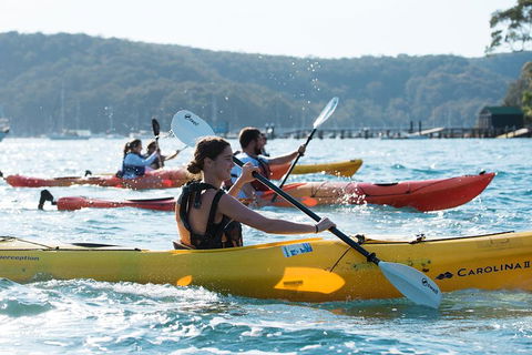 Pittwater Discovery Kayaking Tour - Restaurant Canberra 2