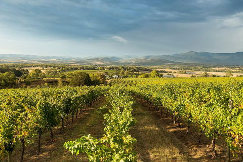 Yarra Valley Local Produce And Wine Tasting Tour - Restaurant Canberra 3