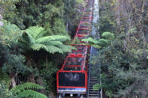 Blue Mountains Private Full-Day Tour From Sydney With Cruise - Restaurant Canberra 5