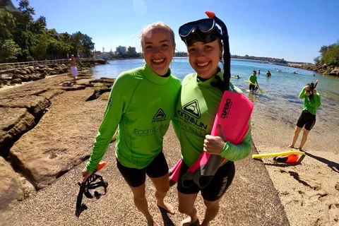 Manly Snorkel Trip And Nature Walk With Local Guide - Restaurant Canberra 1