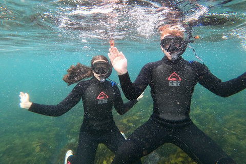 Manly Snorkel Trip And Nature Walk With Local Guide - Restaurant Canberra 3