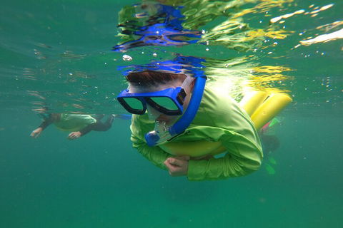 Manly Snorkel Trip And Nature Walk With Local Guide - Restaurant Canberra 5