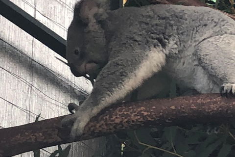 Perth Hills - Wildlife, Art & Gastronomy - Restaurant Canberra 3