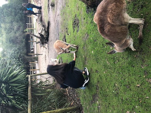 Perth Hills - Wildlife, Art & Gastronomy - Restaurant Canberra 4