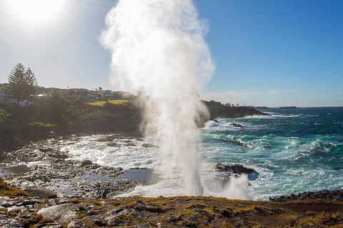 Private Tour: Sydney South Coast & Highlands - Restaurant Canberra 2