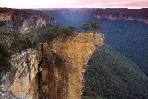 Private Tour: Blue Mountains And Jenolan Caves Day Trip From Sydney - Restaurant Canberra 0