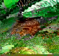 3-Day Small-Group Tour of North Queensland with Pick Up - Restaurant Canberra