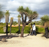 1 Day Exclusively Private Tour Of Phillip Island  The Penguin Parade - Restaurant Canberra