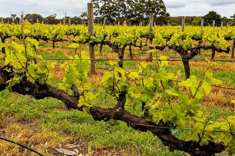 Margaret River Indulge And Discover Day Tour - Restaurant Canberra 5
