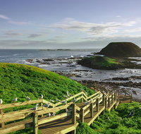 Full-Day Private Australian Wildlife Tour of Phillip Island - Restaurant Canberra