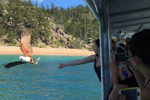 Aquascene Magnetic Island Discovery Tour - Restaurant Canberra 2