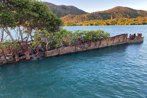 Aquascene Magnetic Island Discovery Tour - Restaurant Canberra 3