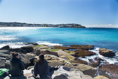 Kiama South Coast Tour With Coastline, Farmlands, Aboriginal Engravings & Lunch - Restaurant Canberra 2