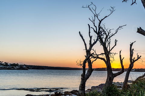 Much More To See Of Sydney Private Tour - Restaurant Canberra 5