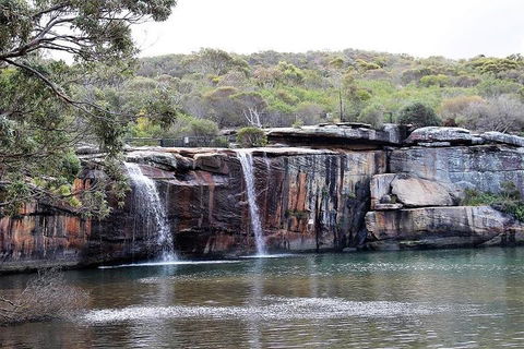 Royal National Park Tour - Restaurant Canberra 1
