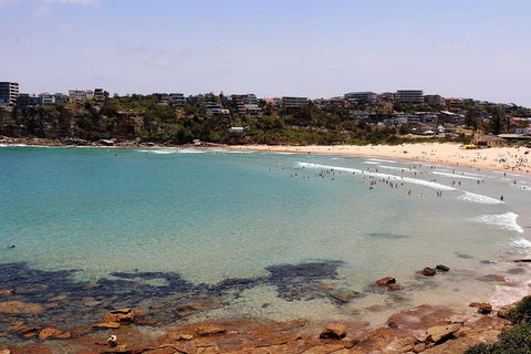 Half Day Manly Beach And More - Restaurant Canberra 2