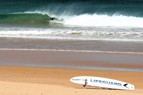 Half Day Manly Beach And More - Restaurant Canberra 5