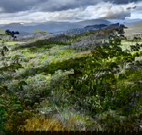 3-Day Tour to the Falls Mountains Lake  More of West Coast Tasmania - Restaurant Canberra