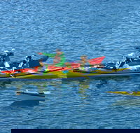 Half-Day Sydney Middle Harbour Guided Kayaking Eco Tour - Restaurant Canberra