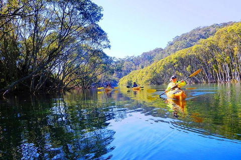 Half-Day Sydney Middle Harbour Guided Kayaking Eco Tour - Restaurant Canberra 1