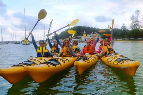 Half-Day Sydney Middle Harbour Guided Kayaking Eco Tour - Restaurant Canberra 2