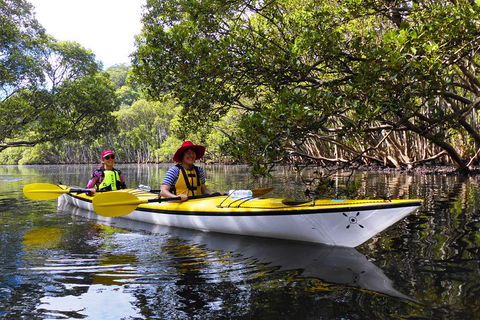 Half-Day Sydney Middle Harbour Guided Kayaking Eco Tour - Restaurant Canberra 3