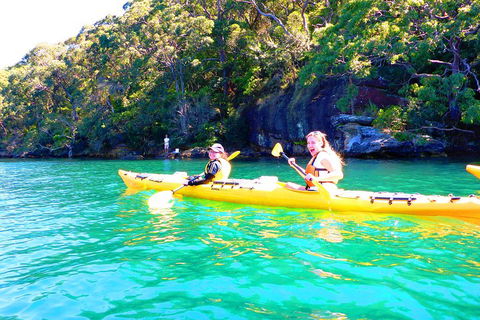 Half-Day Sydney Middle Harbour Guided Kayaking Eco Tour - Restaurant Canberra 4