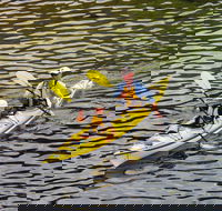 Self-Guided Sydney Middle Harbour Kayak 3 Hour Tour by Double Kayak - Restaurant Canberra