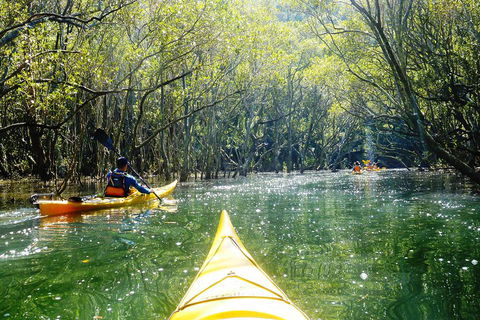 Self-Guided Sydney Middle Harbour Kayak 3 Hour Tour By Double Kayak - Restaurant Canberra 3
