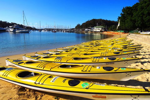 Self-Guided Sydney Middle Harbour Kayak 3 Hour Tour By Double Kayak - Restaurant Canberra 4