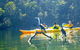 Middle Harbour Mangrove Explorer - thumb 2