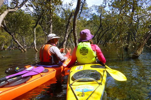 Middle Harbour Mangrove Explorer - Restaurant Canberra 3
