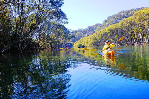 Middle Harbour Mangrove Explorer - Restaurant Canberra 5