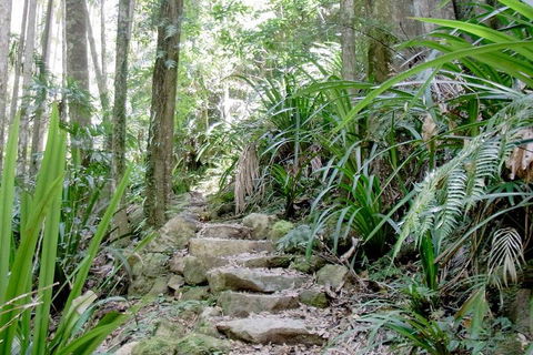 Byron Bay Combo: Minyon Falls And Hinterland Day Trip And Learn To Surf At Byron Bay - Restaurant Canberra 3