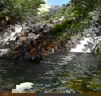 Behana Canyon Rainforest and Waterfall Experience - Restaurant Canberra