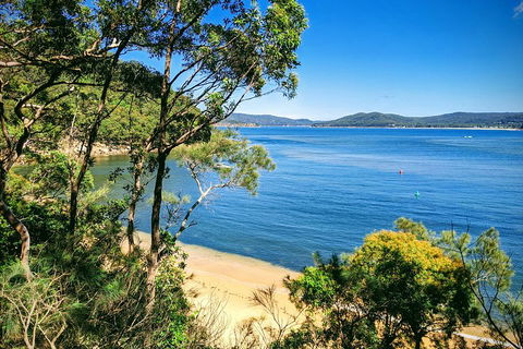 Central Coast Explorer With 'Personalised Sydney Tours' - Restaurant Canberra 0