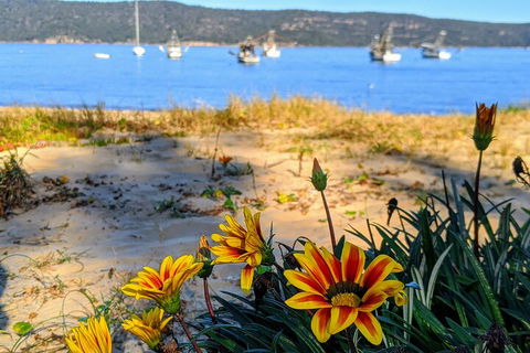 Central Coast Explorer With 'Personalised Sydney Tours' - Restaurant Canberra 2