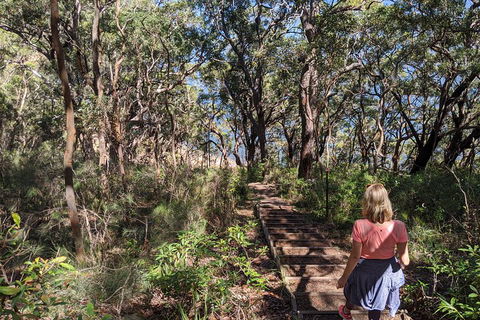 Central Coast Explorer With 'Personalised Sydney Tours' - Restaurant Canberra 4