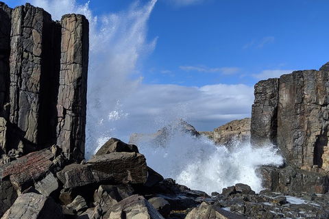Erupting Blowholes And Ancient Rainforests With 'Personalised Sydney Tours' - Restaurant Canberra 0