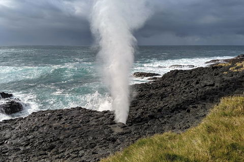 Erupting Blowholes And Ancient Rainforests With 'Personalised Sydney Tours' - Restaurant Canberra 1