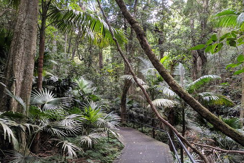 Erupting Blowholes And Ancient Rainforests With 'Personalised Sydney Tours' - Restaurant Canberra 2