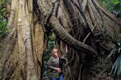 Erupting Blowholes And Ancient Rainforests With 'Personalised Sydney Tours' - Restaurant Canberra 4