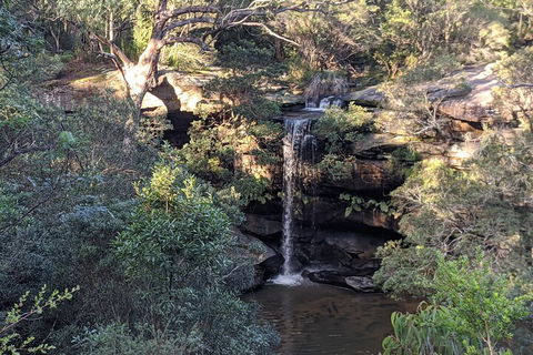Australian Wildlife & Waterfalls Private Tour With 'Personalised Sydney Tours' - Restaurant Canberra 5
