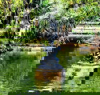 Discover Sydney - Botanic - Restaurant Canberra