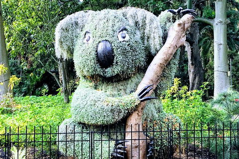 Discover Sydney - Botanic - Restaurant Canberra 1