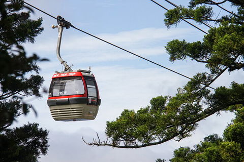 Sydney Taronga Zoo General Entry Ticket And Wild Australia Experience - Restaurant Canberra 2