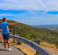 Private Tour Mornington Peninsula Family Maze and Fun - Restaurant Canberra