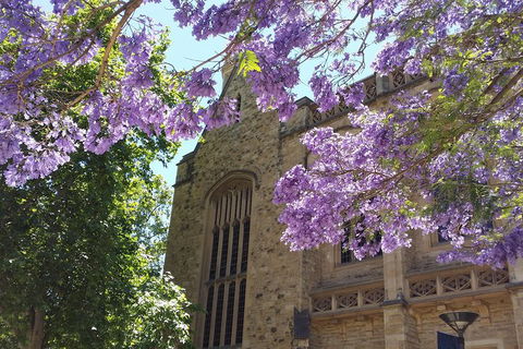Cultural Caper Adelaide Walking Tour - Restaurant Canberra 1