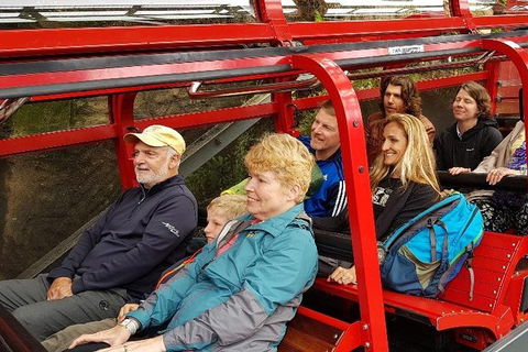 Blue Mountains Ultimate One-Day Tour - Restaurant Canberra 0