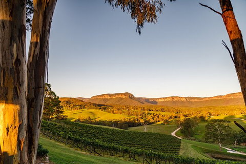 Taste Of The Blue Mountains - Lunch & Wine Tasting, Beer, Cider & Gin Tasting - Restaurant Canberra 1